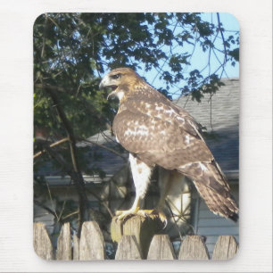 Hawk Mousepad