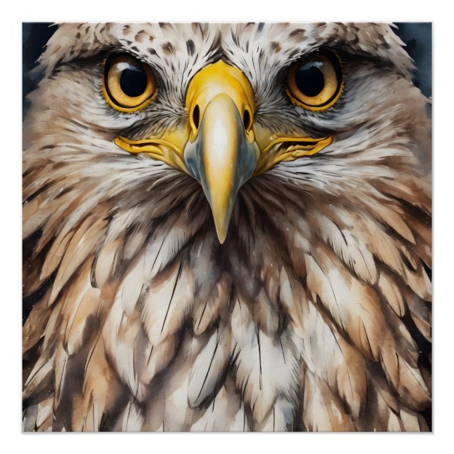 Hawk no 5 Glossy Poster (Front)