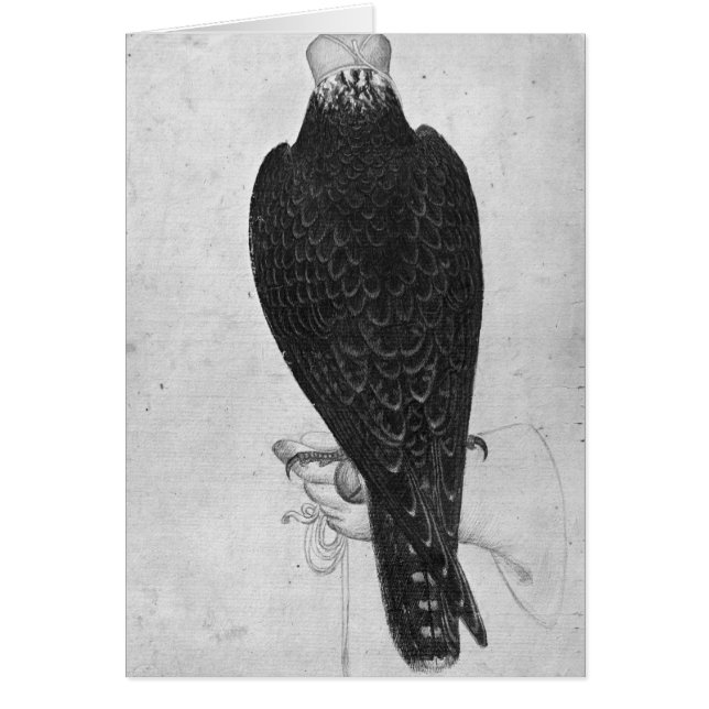 Hawk on hand (Front)