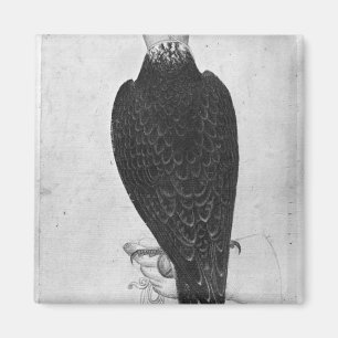 Hawk on hand magnet