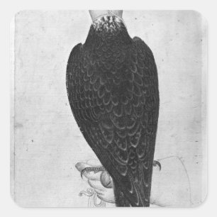 Hawk on hand square sticker