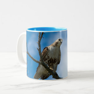 Hawk on the Hunt Blue 11 oz Two-Tone Mug