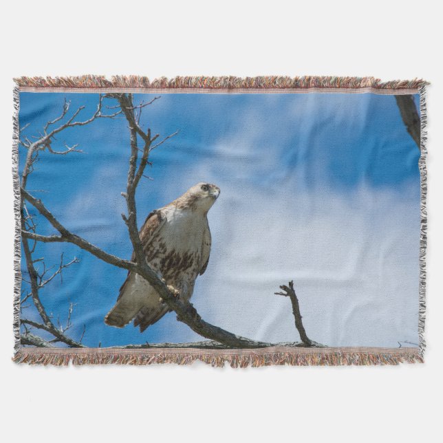 Hawk On The Hunt Throw Blanket (Front)