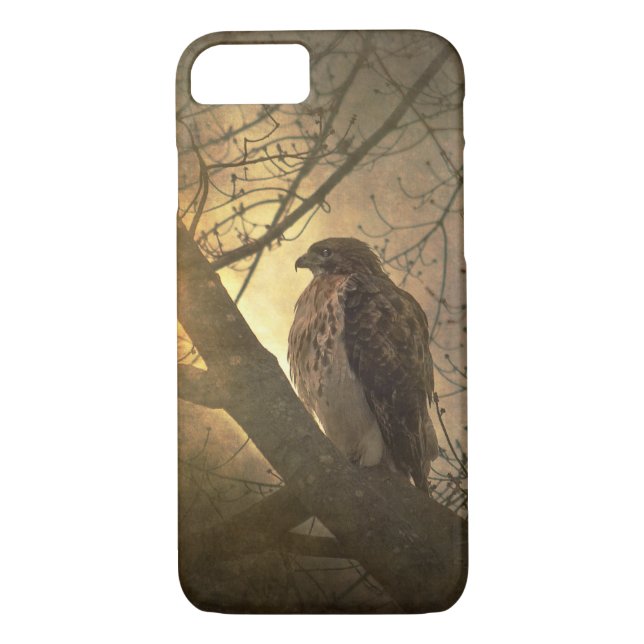 hawk on tree branch Case-Mate iPhone case (Back)