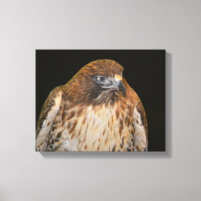 Hawk Power Animal Canvas Print (Front)