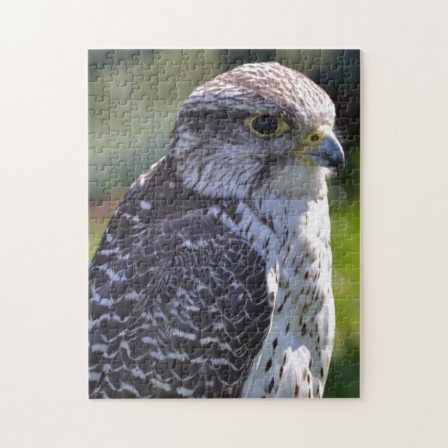 Hawk Puzzle/Jigsaw Jigsaw Puzzle (Vertical)
