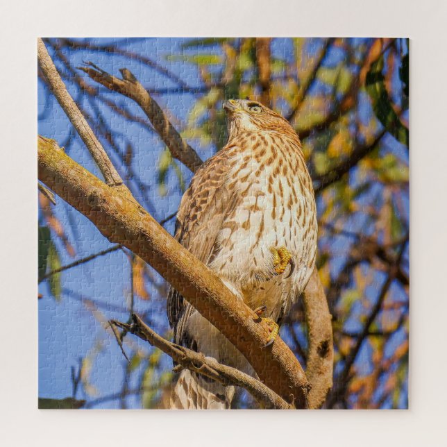 Hawk Puzzle | Wildlife Raptor Nature Art (Vertical)