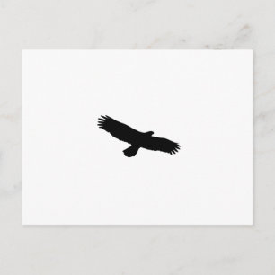 Hawk Silhouette Postcard
