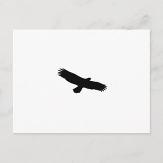 Hawk Silhouette Postcard
