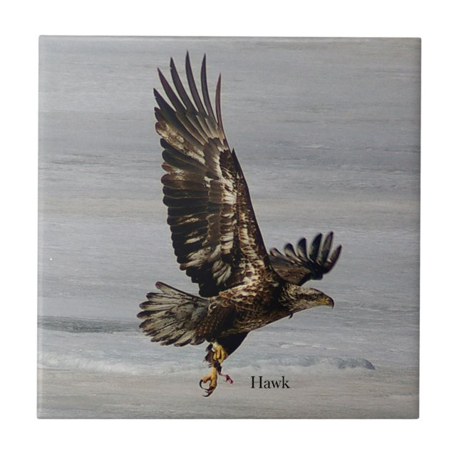 Hawk tile (Front)