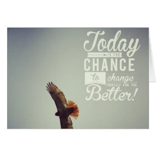 Hawk Today You Can Do Better