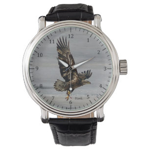 Hawk watch