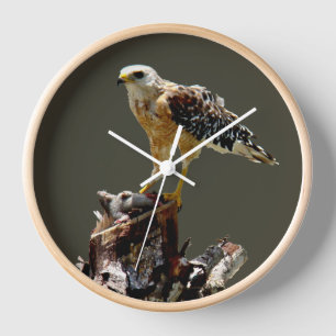 Hawk With Rat Atop A Tree  Clock