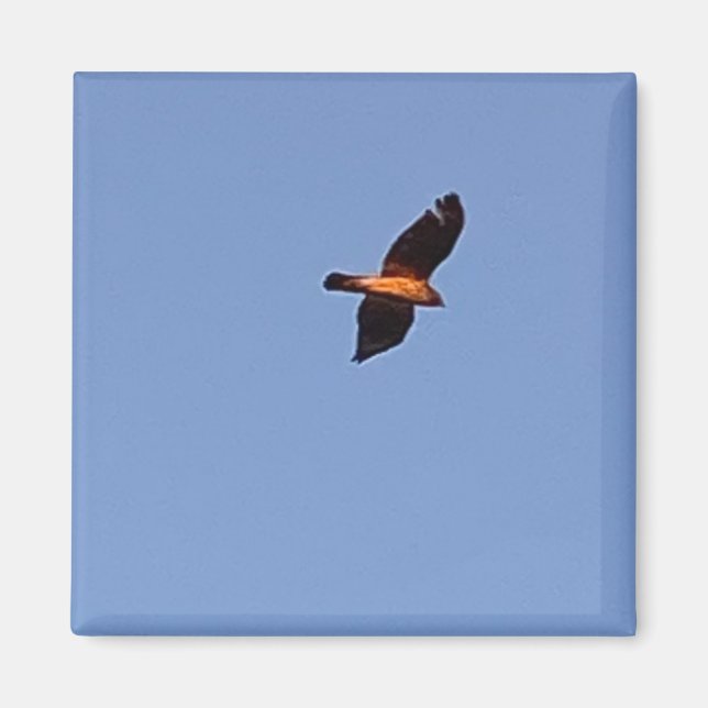 Hawker Flight Magnet (Front)