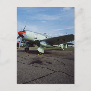 Hawker Sea Fury at CAF, Minnesota Wing, at the 2 Postcard