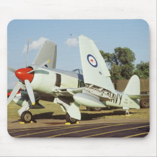 Hawker Sea Fury at CAF, Minnesota Wing, at the Mouse Mat