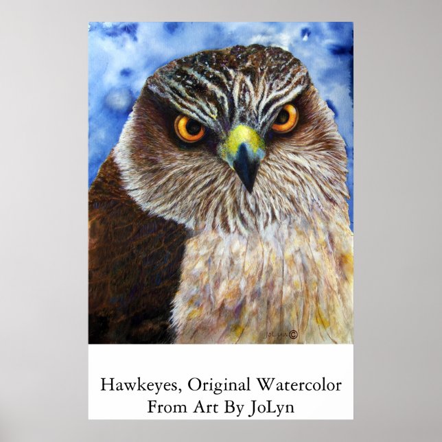 Hawkeyes Poster (Front)