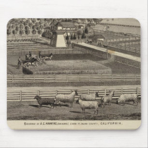 Hawkins, Mayes residences Mouse Mat