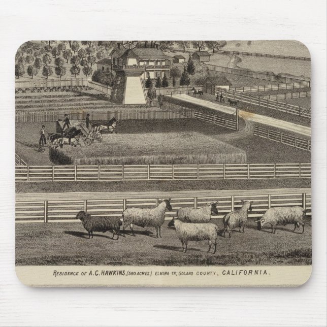 Hawkins, Mayes residences Mouse Mat (Front)