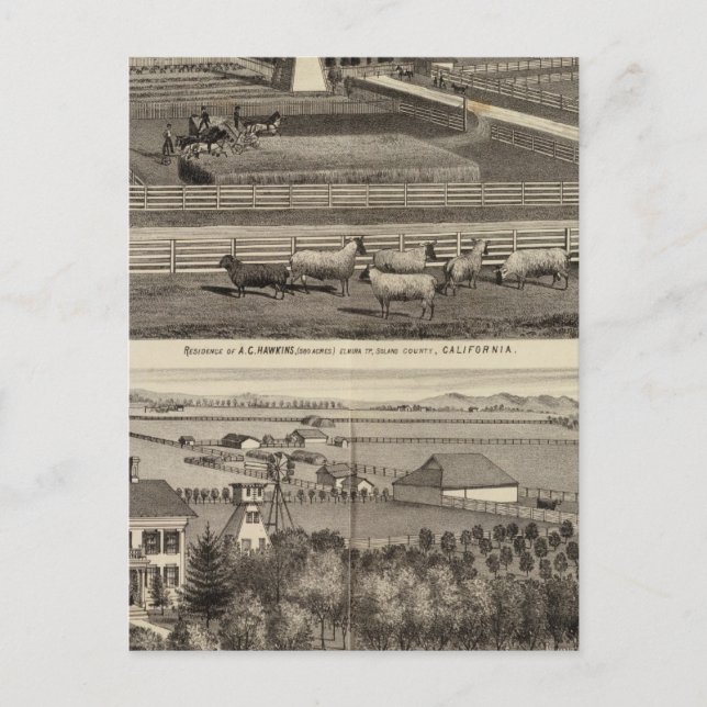 Hawkins, Mayes residences Postcard (Front)