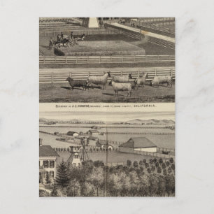 Hawkins, Mayes residences Postcard