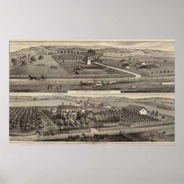 Hawkins, Mayes residences Poster (Front)