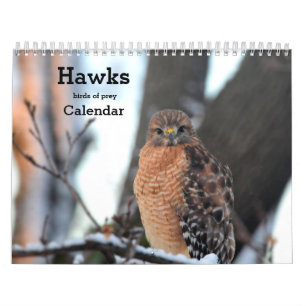 Hawks birds of prey Calendar