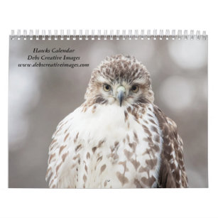 Hawks in the wild 2024 calendar