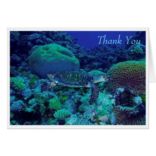 Hawksbill Sea Turtle Greeting Card