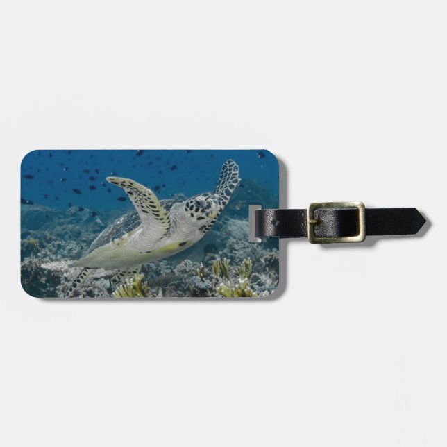 Hawksbill Sea Turtle Swimming Luggage Tag (Front Horizontal)