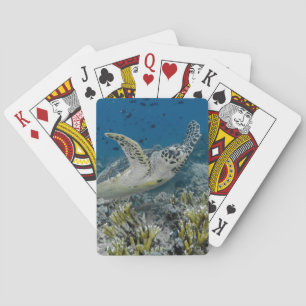 Hawksbill Sea Turtle Swimming Playing Cards