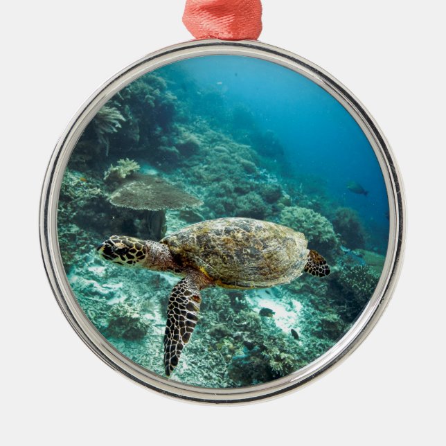 Hawksbill sea turtle underwater Raja Ampat islands Metal Tree Decoration (Front)