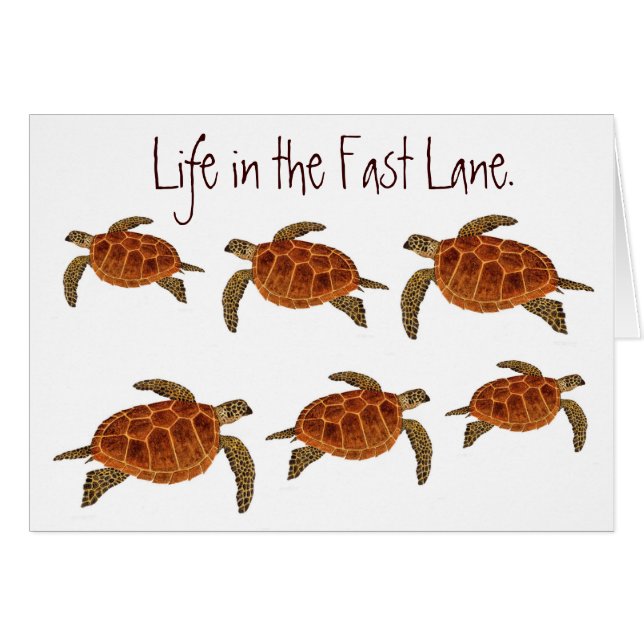 Hawksbill Turtles card (Front Horizontal)