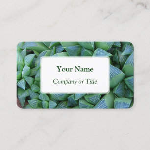 Haworthia Succulent Plant Business Cards