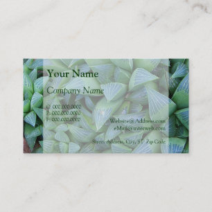 Haworthia Succulent Plant Business Cards