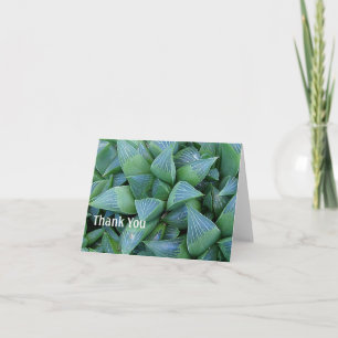 Haworthia Succulent Plants Thank You Card