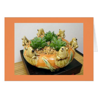 Haworthia with Frogs by Succulent Designs