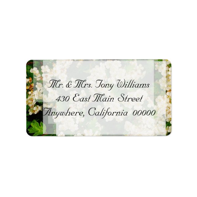 Hawthorn Blossom Return Address Labels (Front)
