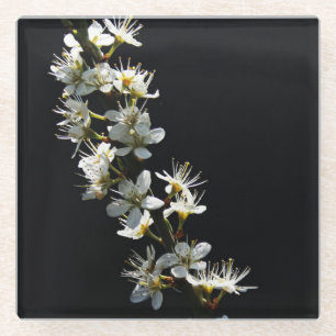 Hawthorn Flowers coastercna Glass Coaster