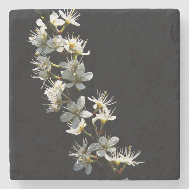 Hawthorn Flowers coastercna Stone Coaster (Front)