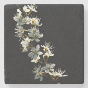 Hawthorn Flowers coastercnm Stone Coaster