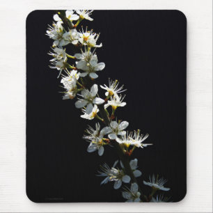 Hawthorn Flowers mpcnm Mouse Mat