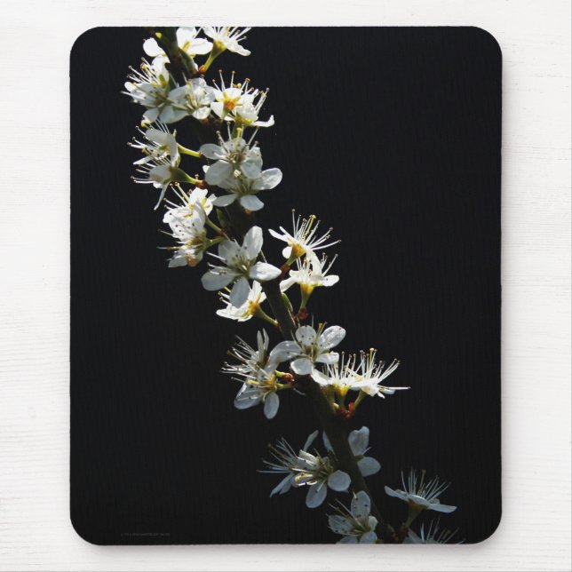 Hawthorn Flowers mpcnm Mouse Mat (Front)
