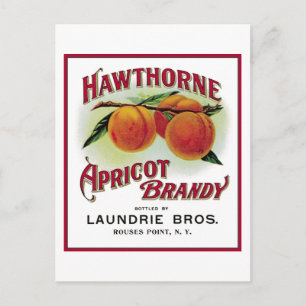 Hawthorne Apricot Brandy Postcard