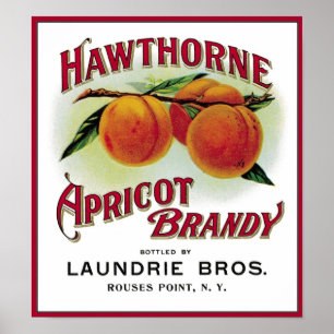 Hawthorne Apricot Brandy Poster