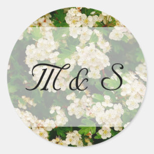 Hawthron Blossom Round Sticker