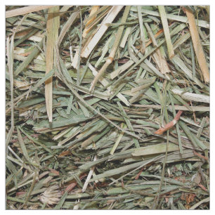 Hay And Grasses Fabric