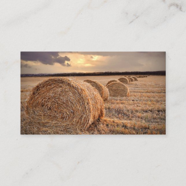 Hay Bail Farmer Ag Agriculture Business Card (Front)