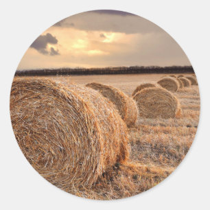 Hay Bail Farmer Ag Agriculture sticker