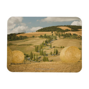 Hay bale and rolling landscape, Tuscany, Italy Magnet